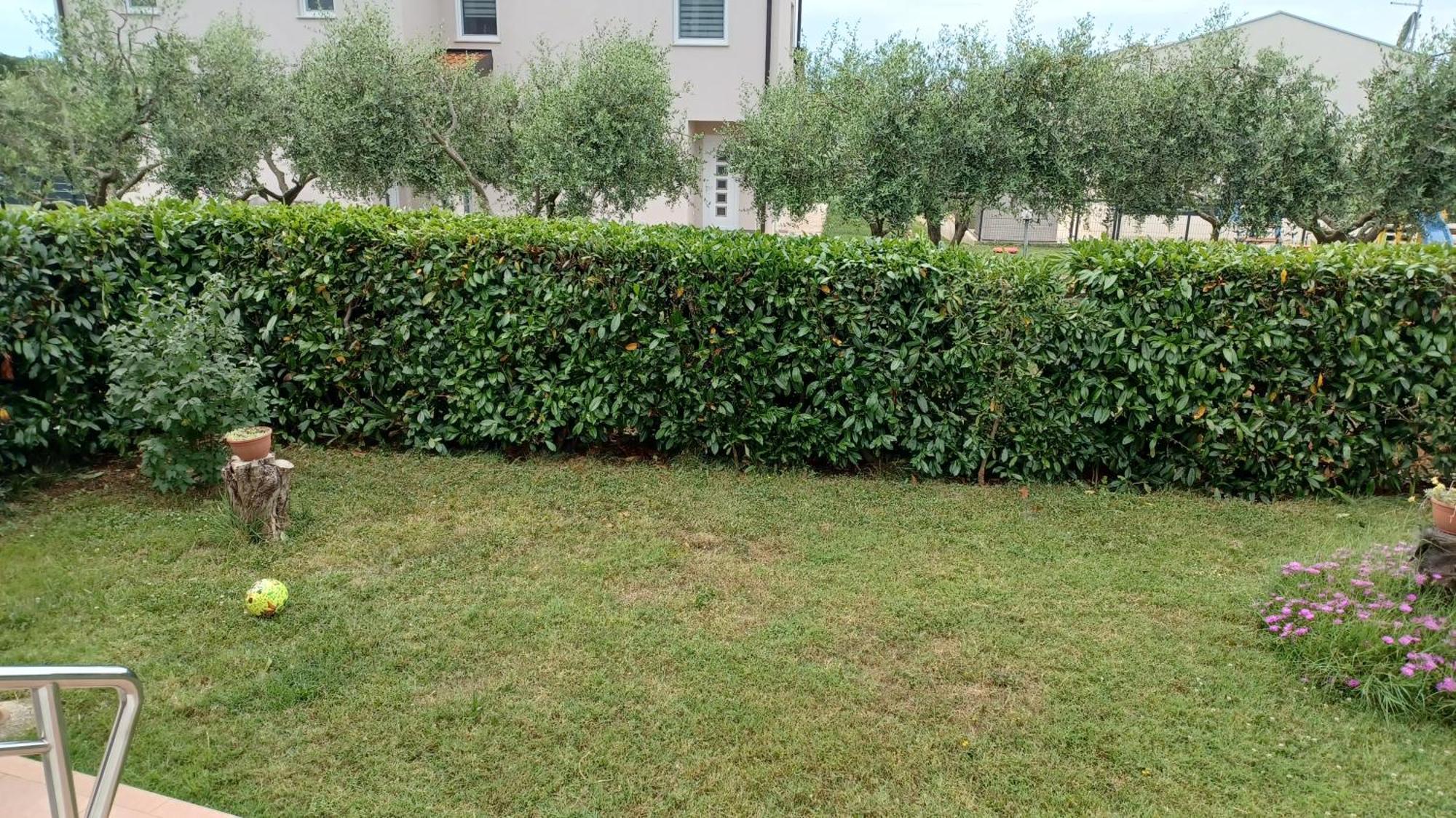Apartments Villa Adamovic Umag Exterior foto
